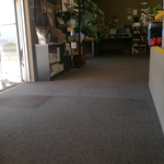 Havasu Pest Control carpeting