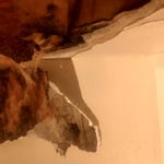 Ceiling Damage
