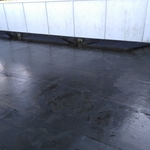 Roof cleaning