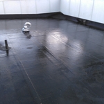 Roof cleaning