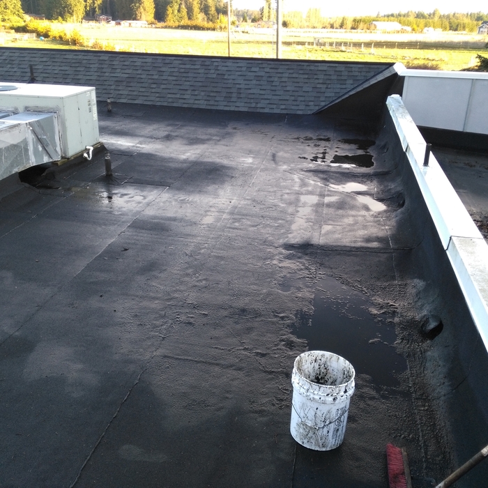 Roof cleaning