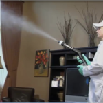 Bactronizing Process