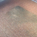 Carpet