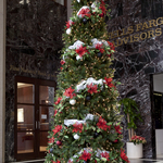 Interior Christmas Trees
