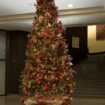 Interior Christmas Trees