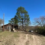 Pine Tree Removal Leaning over house