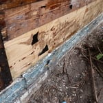 Foundation