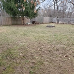 Yard cleanup