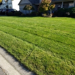 Lawn Mowing Cicero