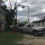 Brush and debris haul away