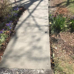 new sidewalk to driveway