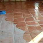 Our Work
