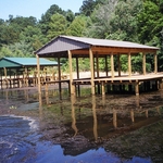 Lake Seminole