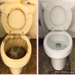Toilet before AND after