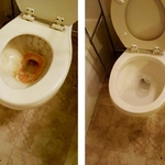 Toilet before AND after