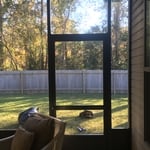 Screen Room
