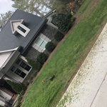 General yard clean up