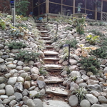 Walkway to pergola