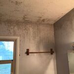 Bathroom Before 2