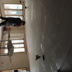 004 - Plaster-Hudson, NH