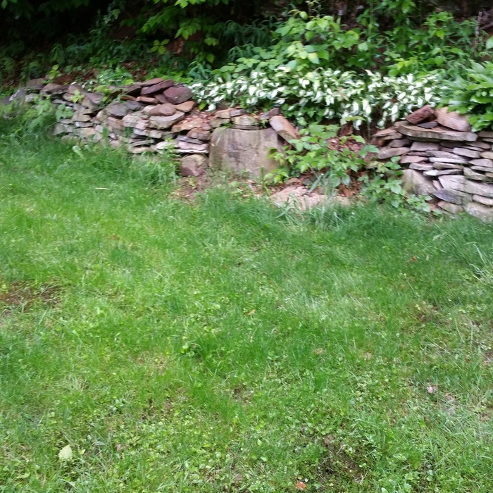 Old Stone Wall