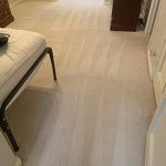 Carpet Cleaning