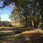 Cleaning property line
