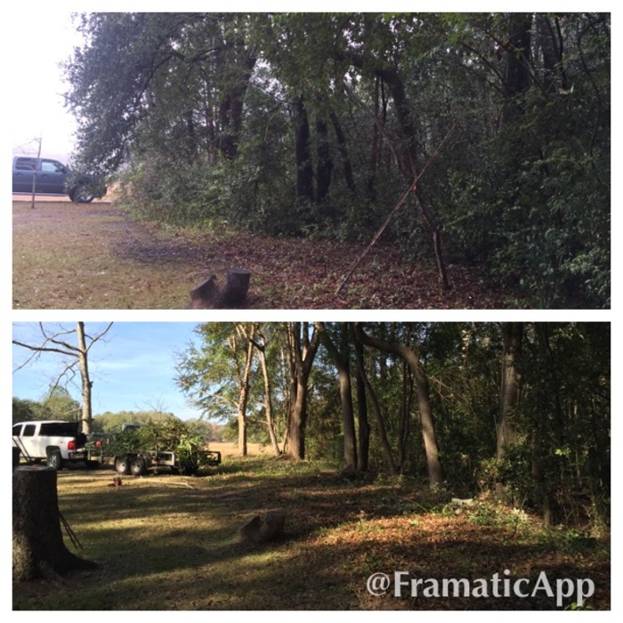 Cleaning property line