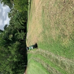 Sod Removal