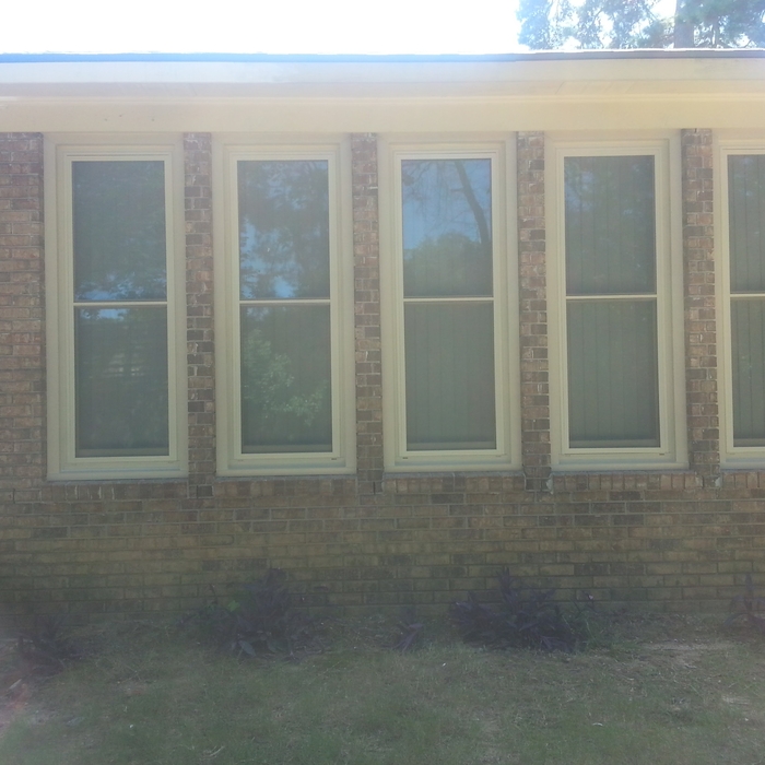 Our Work