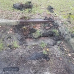 Lawn care