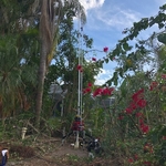 Replacing 20 plus year old irrigation pump.