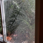 Residential Cleaners