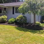 New planting and renovation