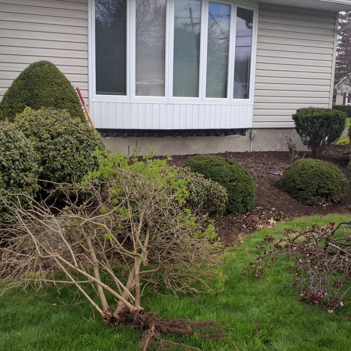 Planting renovation & restoration