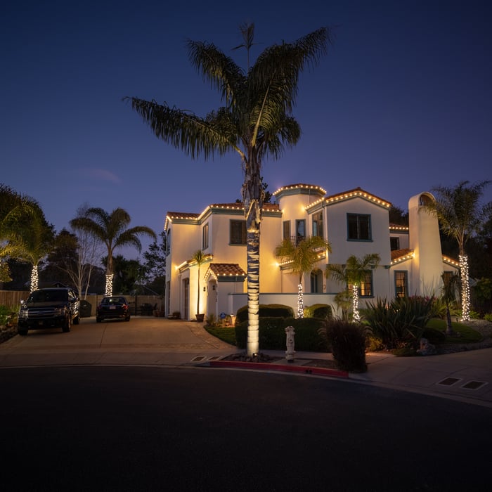Roofline and Palms