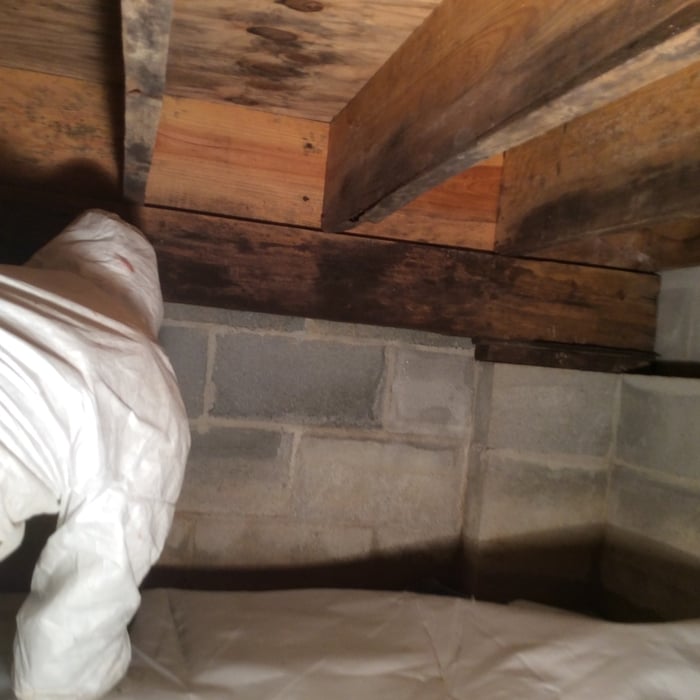 Installing Encapsulation of Crawl Space