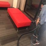 Carpet Cleaning