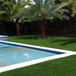 Luxury Poolside Turf