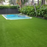 Backyard Pool Turf