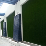 Turf Accent Wall