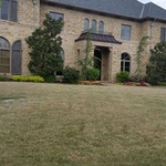 OUR WORK