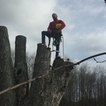 Owner of Acme Tree Company