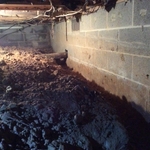 Crawl Space Before