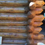 Log Home