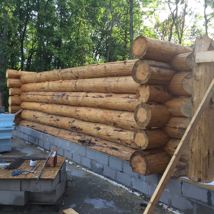 Log Home