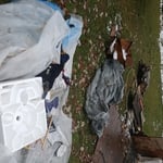 Junk & Trash Removal
