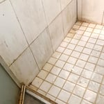 Master bathroom shower