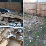 Back Yard Clean Up