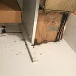Termite Inspection